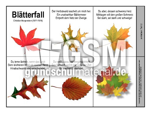 Leporello-Blätterfall-Morgenstern.pdf